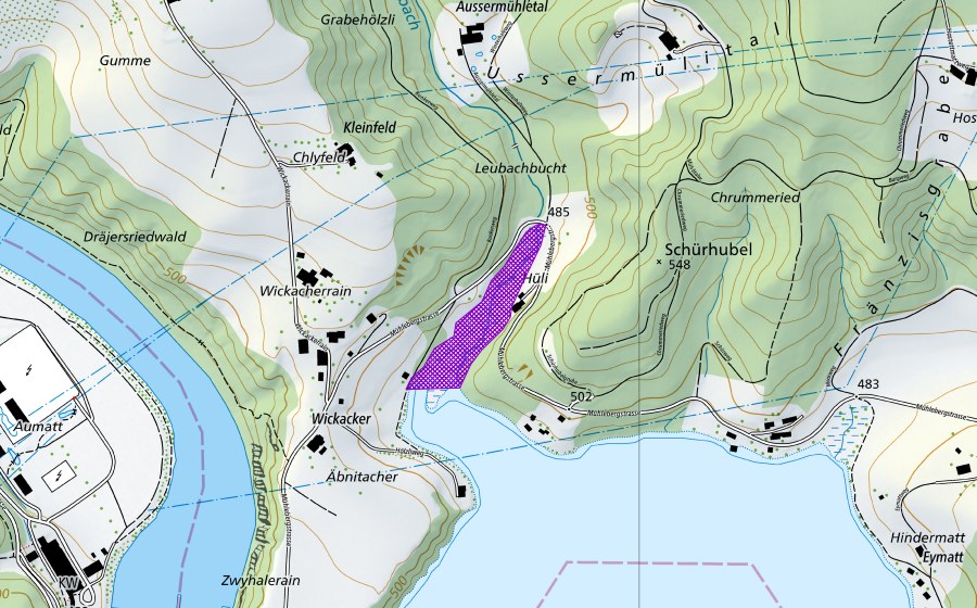 Landeskarte swisstopo mit dem Schutzperimeter von Leubachbucht, Wohlensee-Nordufer (Amphibienlaichgebiet)