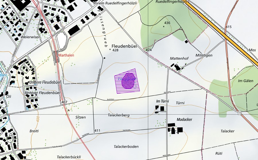Landeskarte swisstopo mit dem Schutzperimeter von Linggisee (Amphibienlaichgebiet)