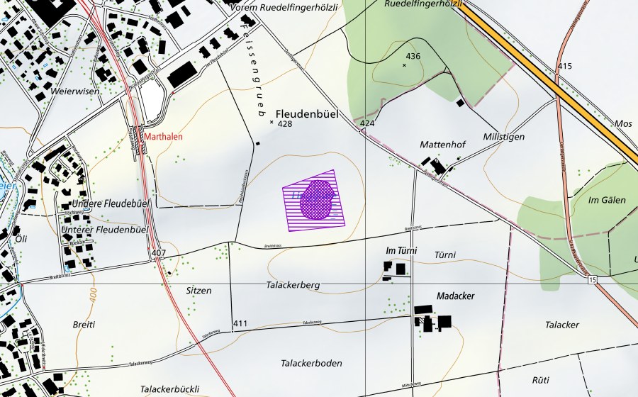 Landeskarte swisstopo mit dem Schutzperimeter von Linggisee (Amphibienlaichgebiet)