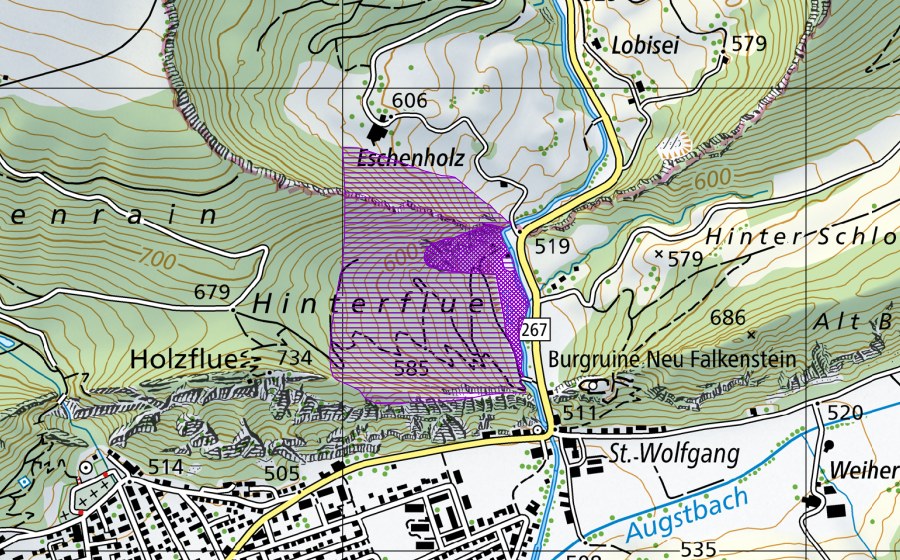 Carta nazionale swisstopo con il perimetro protetto di Lobiseiweiher (Sito di riproduzione di anfibi)