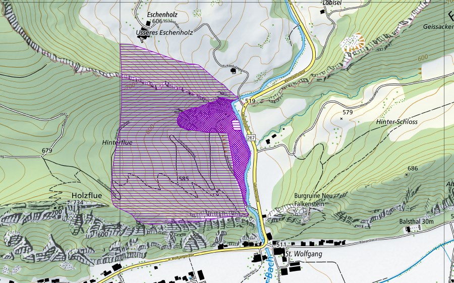 Carte nationale swisstopo avec le périmètre protégé de Lobiseiweiher (Site de reproduction de batraciens)