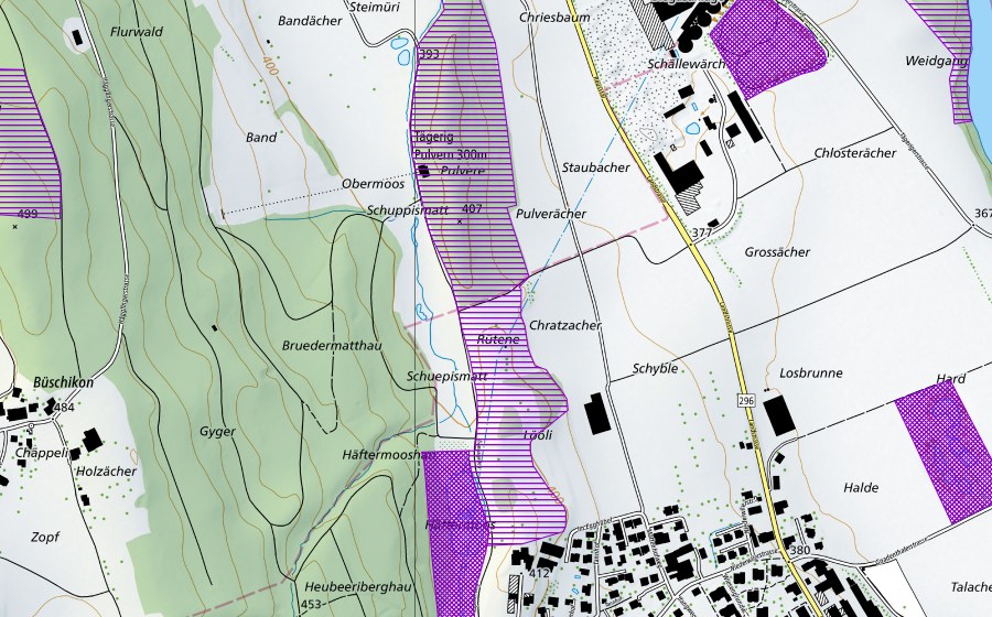 Carte nationale swisstopo avec le périmètre protégé de Löliweiher (Site de reproduction de batraciens)