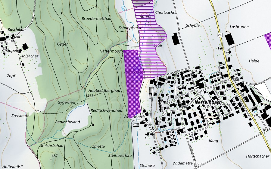 Landeskarte swisstopo mit dem Schutzperimeter von Löliweiher (Amphibienlaichgebiet)