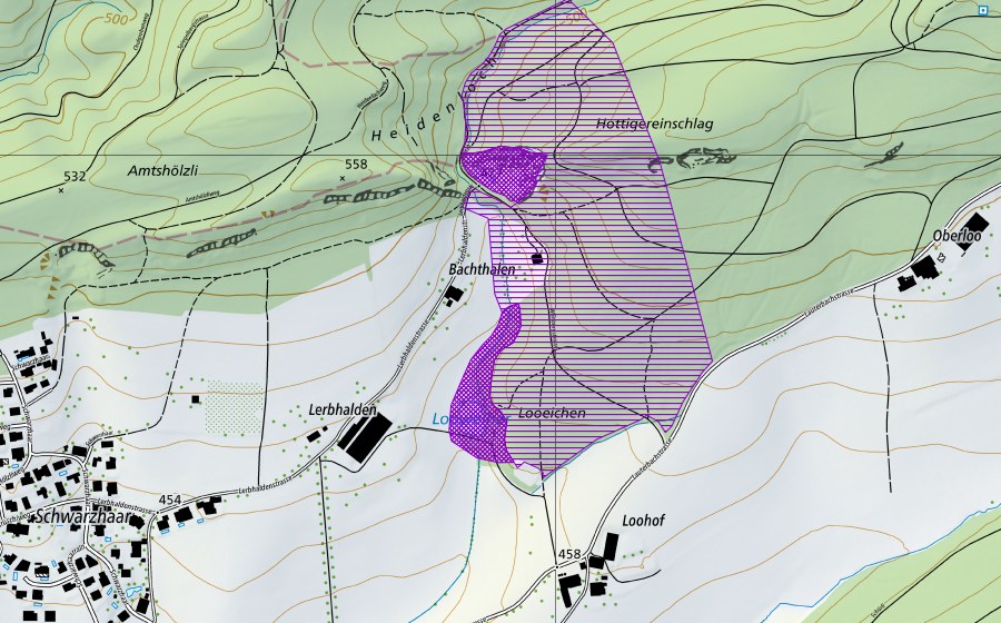 swisstopo national map showing the protected perimeter of Looweiher/Heidenloch (Amphibian spawning site)