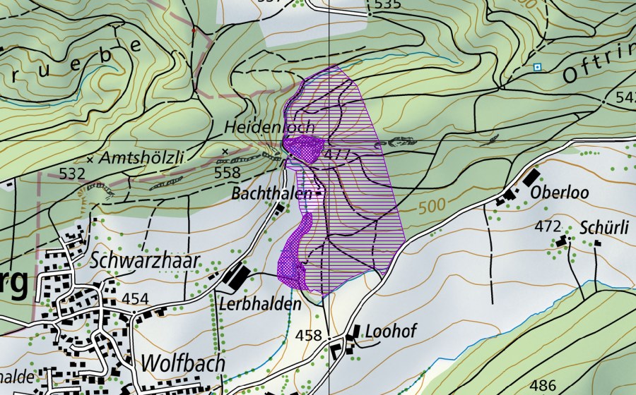 Landeskarte swisstopo mit dem Schutzperimeter von Looweiher/Heidenloch (Amphibienlaichgebiet)
