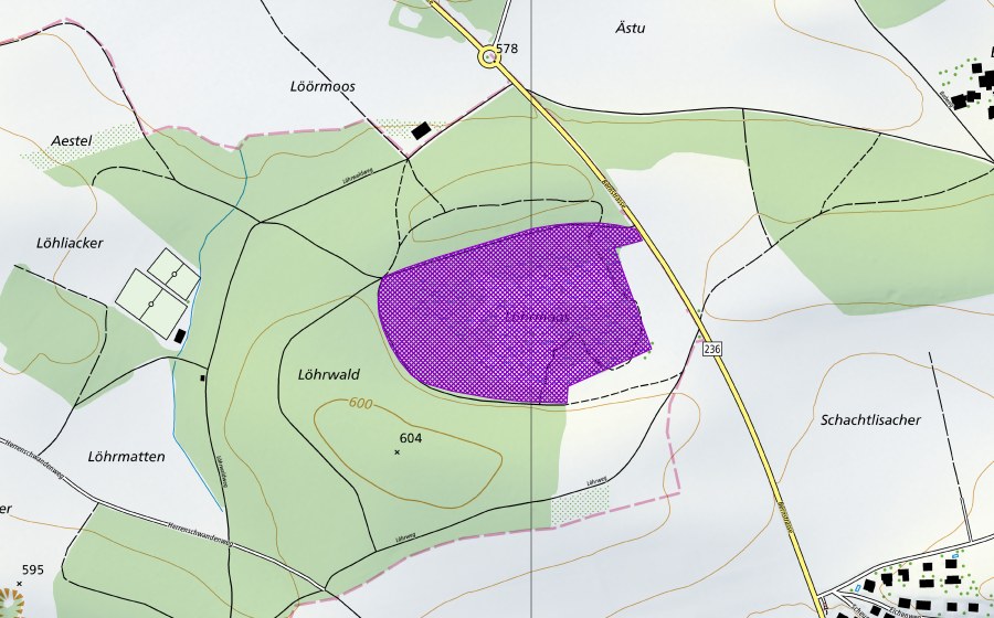 swisstopo national map showing the protected perimeter of Lörmoos (Amphibian spawning site)