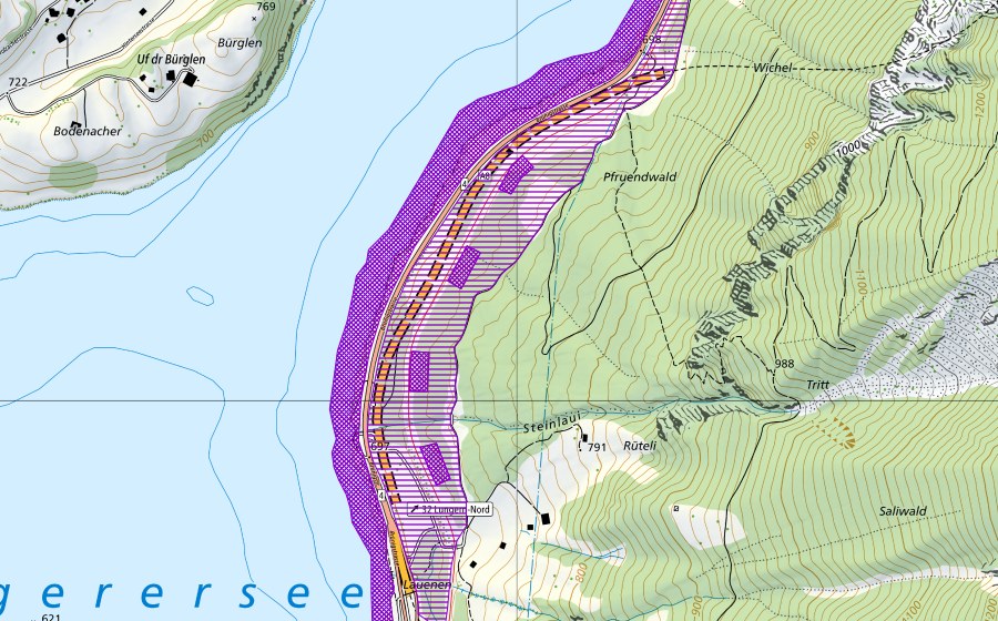 swisstopo national map showing the protected perimeter of Lungerer See Nordende (Amphibian spawning site)