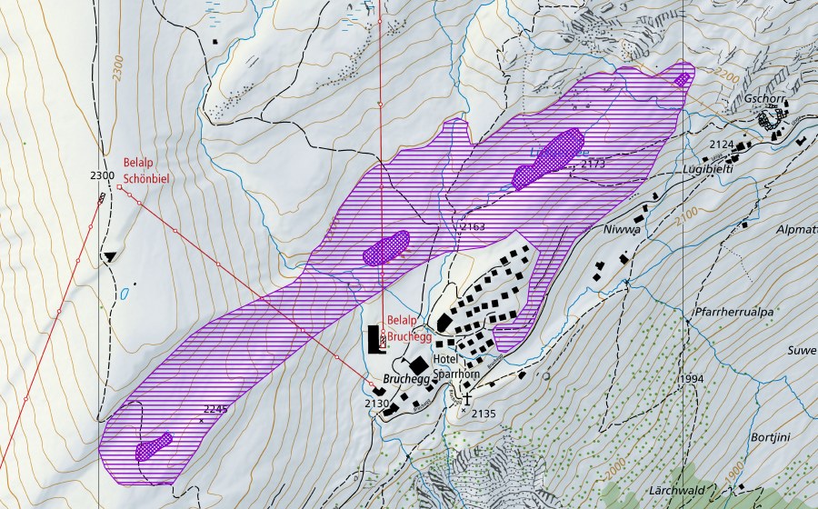 swisstopo national map showing the protected perimeter of Lüsga (Amphibian spawning site)