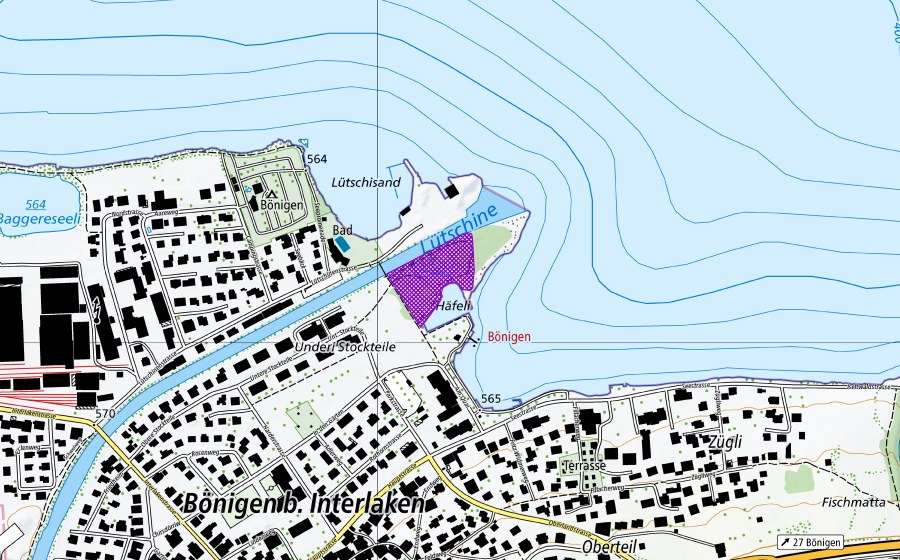 Landeskarte swisstopo mit dem Schutzperimeter von Lütschisand (Amphibienlaichgebiet)