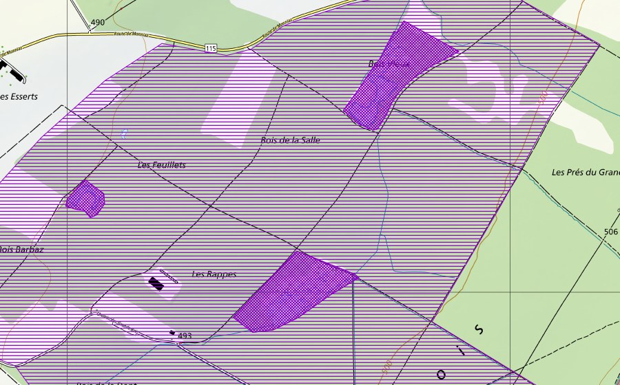 swisstopo national map showing the protected perimeter of Maison de la Forêt (Amphibian spawning site)