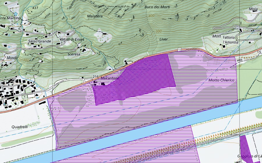 Landeskarte swisstopo mit dem Schutzperimeter von Malcantone (Amphibienlaichgebiet)