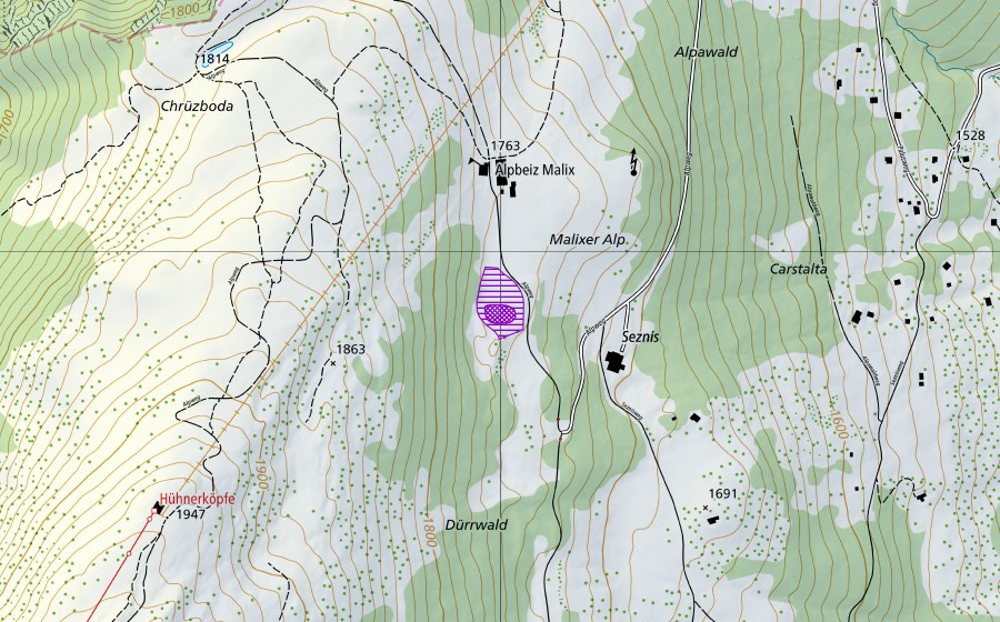 Carte nationale swisstopo avec le périmètre protégé de Malixer Alp (Site de reproduction de batraciens)