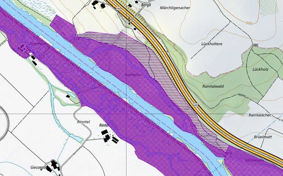 Landeskarte swisstopo mit dem Schutzperimeter von Märchligenau-Flühli (Amphibienlaichgebiet)