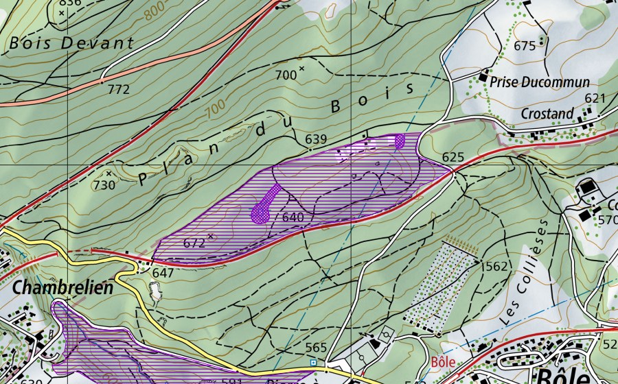 Landeskarte swisstopo mit dem Schutzperimeter von Marnière du Plan du Bois (Amphibienlaichgebiet)