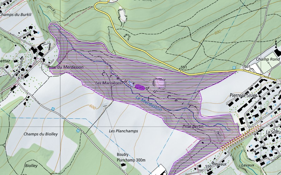 Carte nationale swisstopo avec le périmètre protégé de Merdasson (Site de reproduction de batraciens)