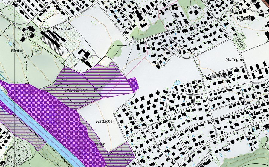 swisstopo national map showing the protected perimeter of Mettlenweiher (Amphibian spawning site)