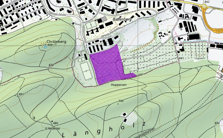 Landeskarte swisstopo mit dem Schutzperimeter von Mettmoos (Amphibienlaichgebiet)