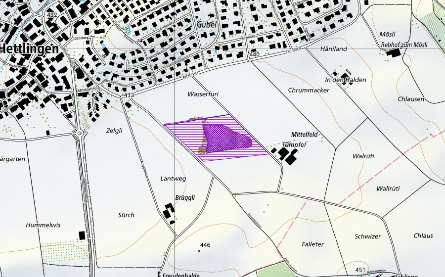 swisstopo national map showing the protected perimeter of Mittelfeld-Kiesgrube (Amphibian spawning site)