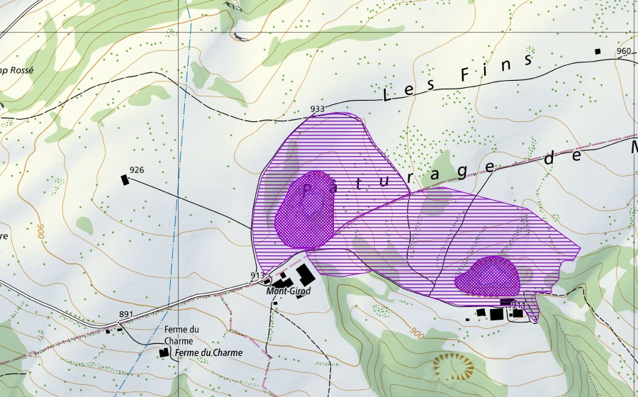 Carte nationale swisstopo avec le périmètre protégé de Mont Girod 1 (Site de reproduction de batraciens)