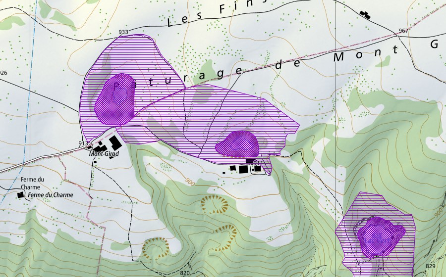 Carte nationale swisstopo avec le périmètre protégé de Mont Girod 2 (Site de reproduction de batraciens)