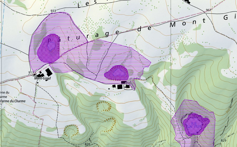 Landeskarte swisstopo mit dem Schutzperimeter von Mont Girod 2 (Amphibienlaichgebiet)