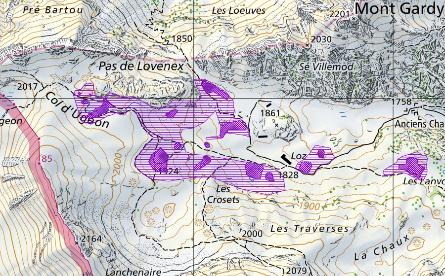 Landeskarte swisstopo mit dem Schutzperimeter von Montagne de l'Au (Amphibienlaichgebiet)