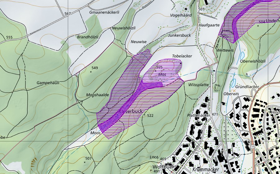 swisstopo national map showing the protected perimeter of Moos-Buck Herblingen (Amphibian spawning site)
