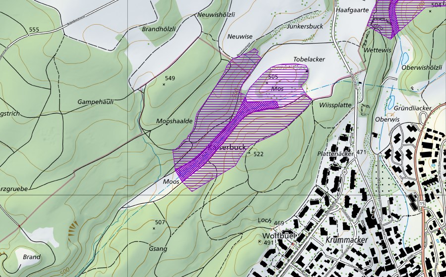 Landeskarte swisstopo mit dem Schutzperimeter von Moos-Buck Herblingen (Amphibienlaichgebiet)
