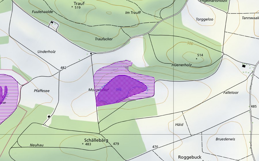 Landeskarte swisstopo mit dem Schutzperimeter von Morgetshofsee (Amphibienlaichgebiet)