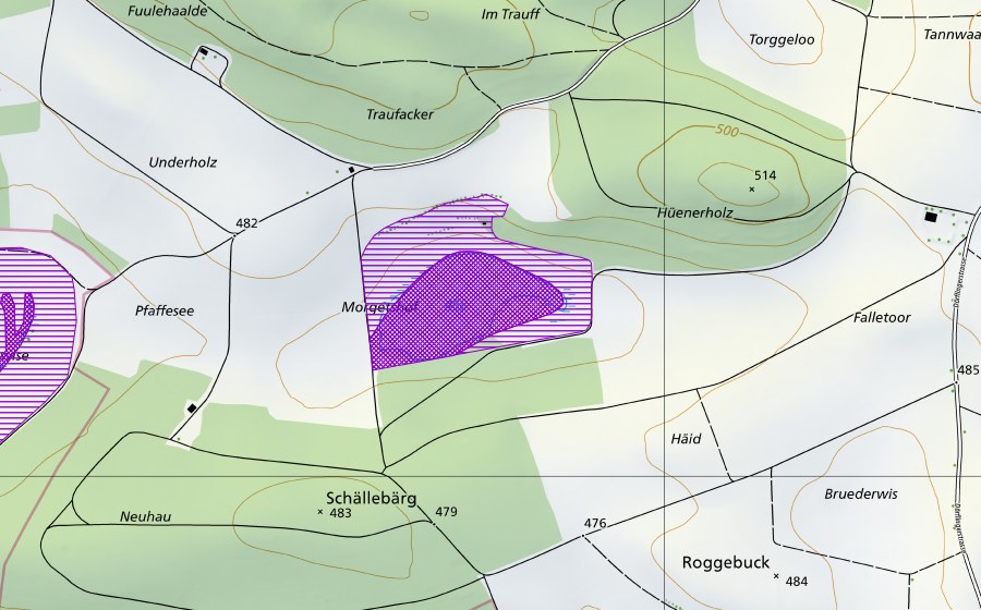 Landeskarte swisstopo mit dem Schutzperimeter von Morgetshofsee (Amphibienlaichgebiet)