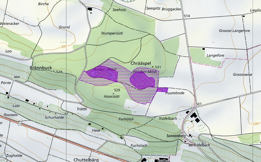 swisstopo national map showing the protected perimeter of Mösliweiher (Amphibian spawning site)