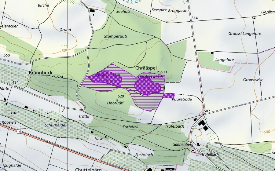 Landeskarte swisstopo mit dem Schutzperimeter von Mösliweiher (Amphibienlaichgebiet)
