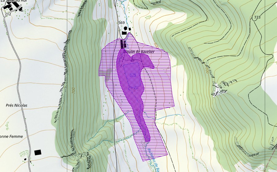swisstopo national map showing the protected perimeter of Moulin de Bavelier (Amphibian spawning site)