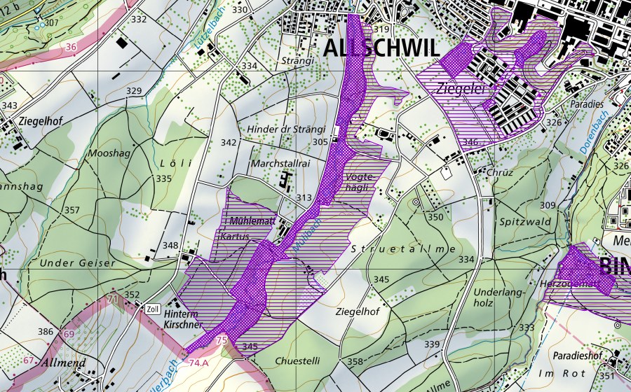 swisstopo national map showing the protected perimeter of Mühlebachtal (Amphibian spawning site)
