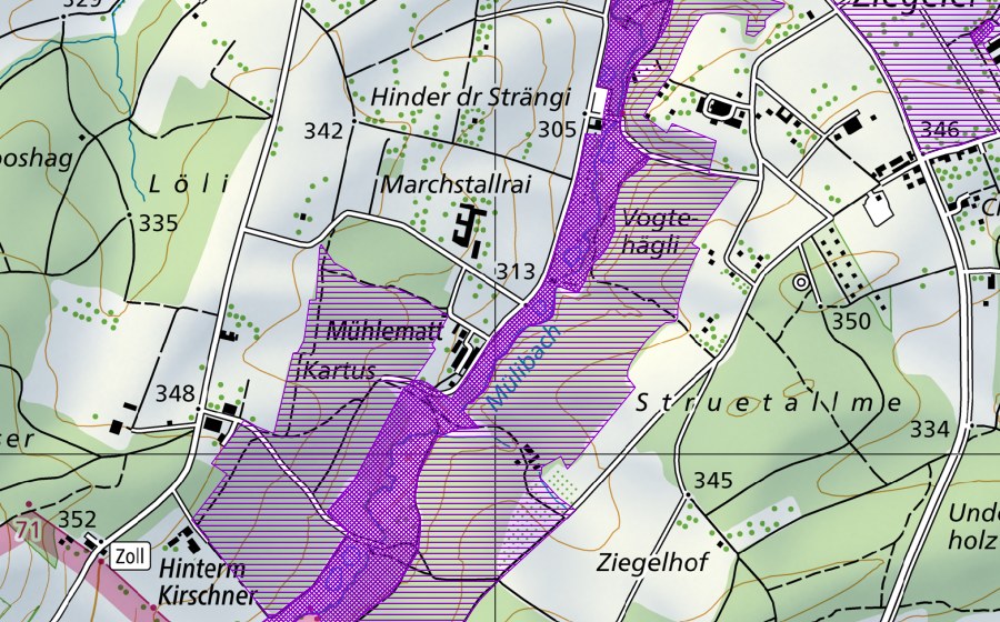 swisstopo national map showing the protected perimeter of Mühlebachtal (Amphibian spawning site)