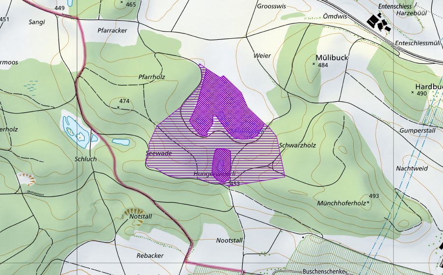 Carte nationale swisstopo avec le périmètre protégé de Müliweier (Site de reproduction de batraciens)