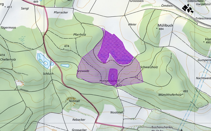 swisstopo national map showing the protected perimeter of Müliweier (Amphibian spawning site)