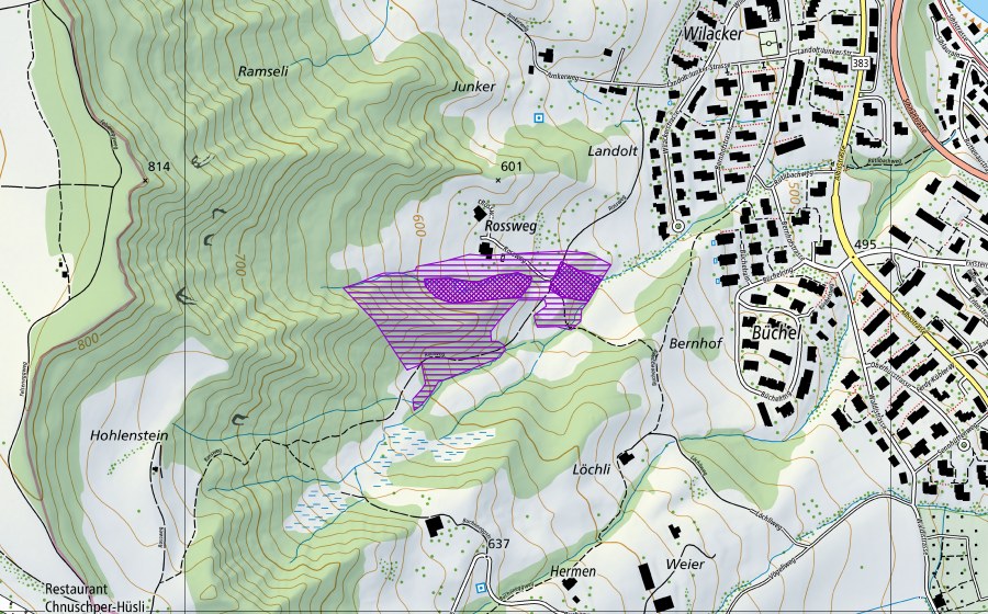 Carta nazionale swisstopo con il perimetro protetto di Mülliweiher, Weiher am Rossweg (Sito di riproduzione di anfibi)