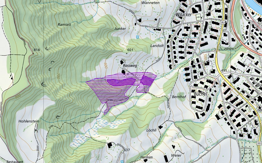 Carte nationale swisstopo avec le périmètre protégé de Mülliweiher, Weiher am Rossweg (Site de reproduction de batraciens)