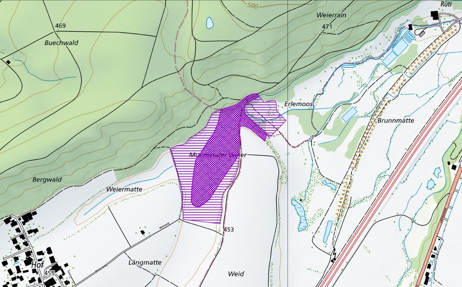 Carte nationale swisstopo avec le périmètre protégé de Mumenthaler Weiher (Site de reproduction de batraciens)