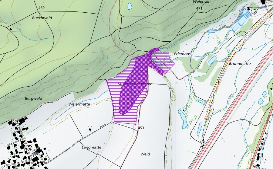 Landeskarte swisstopo mit dem Schutzperimeter von Mumenthaler Weiher (Amphibienlaichgebiet)