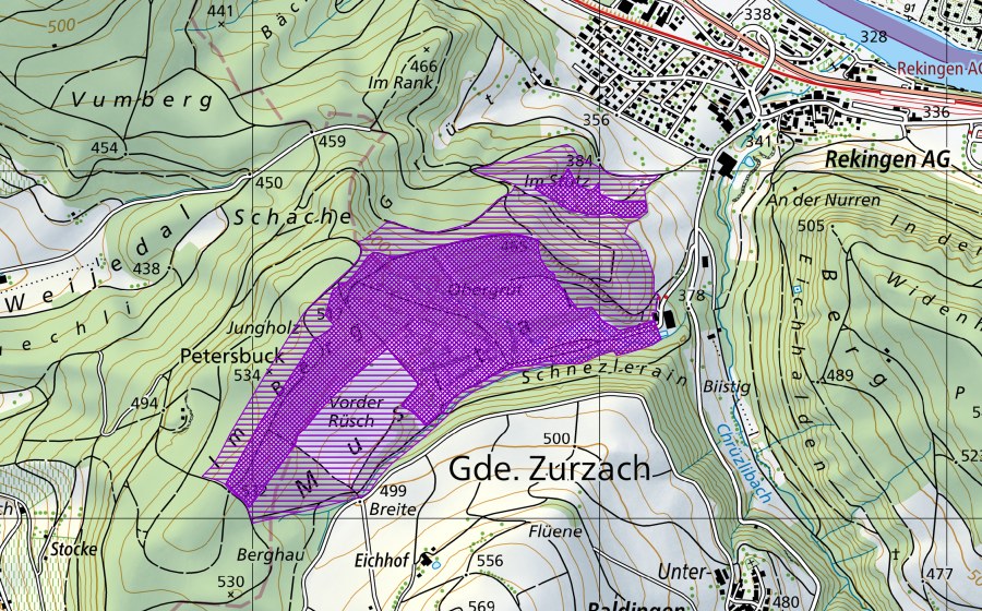 swisstopo national map showing the protected perimeter of Musital (Amphibian spawning site)