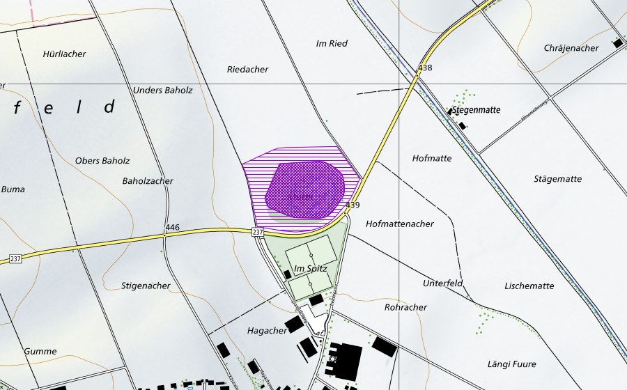 swisstopo national map showing the protected perimeter of Muttli (Amphibian spawning site)