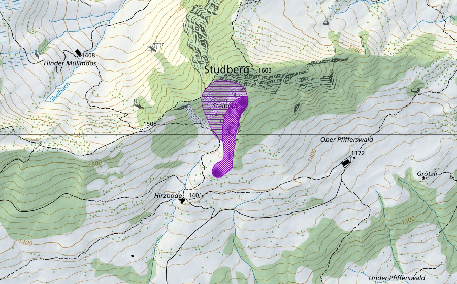 Carte nationale swisstopo avec le périmètre protégé de NE Hirsboden (Site de reproduction de batraciens)