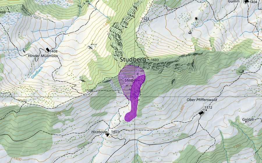 Landeskarte swisstopo mit dem Schutzperimeter von NE Hirsboden (Amphibienlaichgebiet)