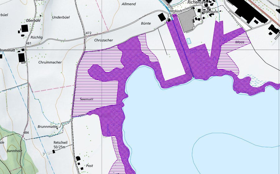 Landeskarte swisstopo mit dem Schutzperimeter von Nordende Baldeggersee (Amphibienlaichgebiet)