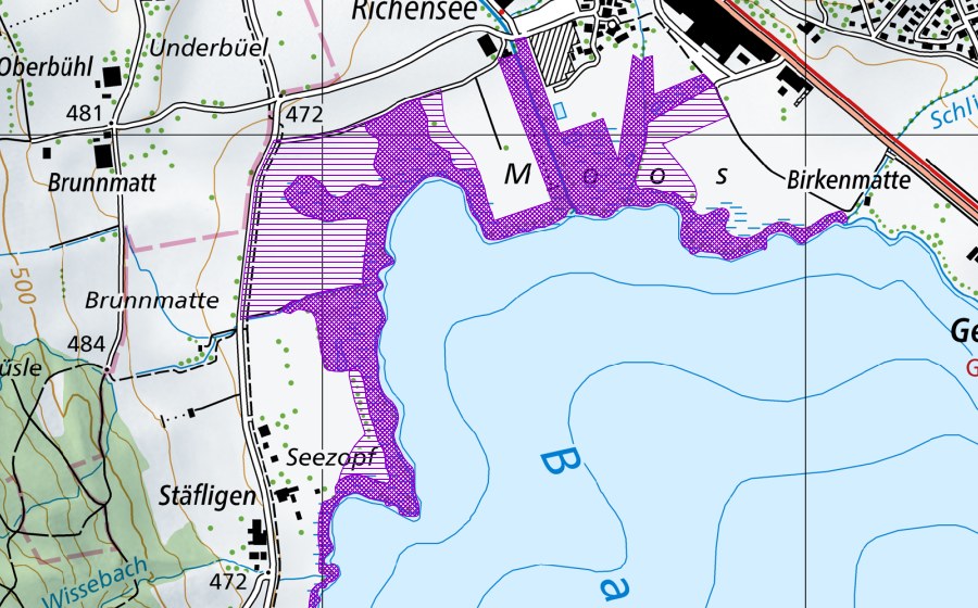 swisstopo national map showing the protected perimeter of Nordende Baldeggersee (Amphibian spawning site)