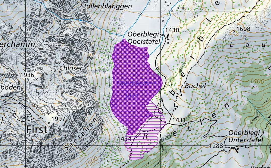 swisstopo national map showing the protected perimeter of Oberblegisee (Amphibian spawning site)