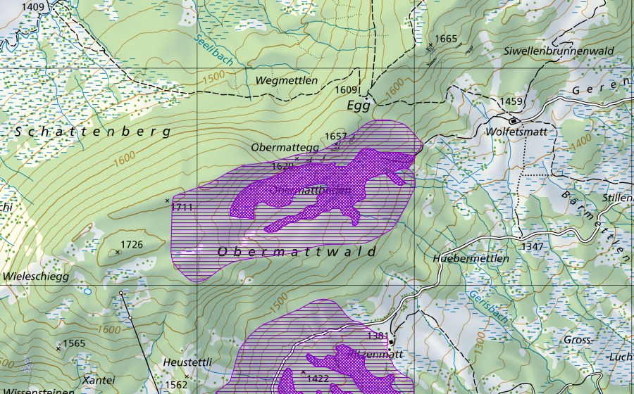 Carta nazionale swisstopo con il perimetro protetto di Obermatteggweiher (Sito di riproduzione di anfibi)