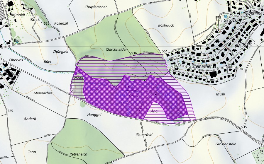 swisstopo national map showing the protected perimeter of Örmis (Amphibian spawning site)